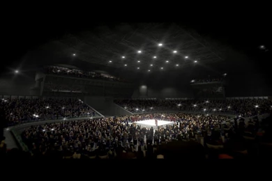 Champions Fight Team   Champions Freestyle MMA