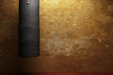 Back2   PRESTIGE GYM