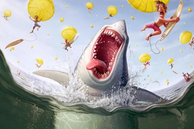 158 Shark HD Wallpapers