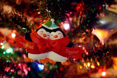 Happy penguin couple ornament 1920x1200 holiday desktop wallpaper 28573.jpg