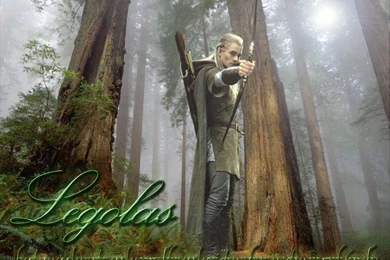 Immortal Beauty   Legolas Greenleaf   Legolas Greenleaf Fansite ...