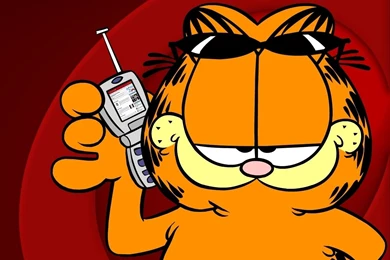 Garfield Wallpapers   Garfield Wallpapers (3194449)   Fanpop