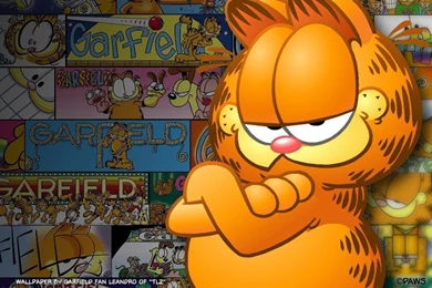 Garfield Wallpapers   Garfield Wallpapers (2026918)   Fanpop