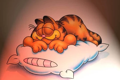 Garfield Wallpapers   Garfield Wallpapers (2026923)   Fanpop