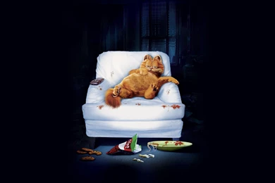 Garfield Cat Wallpapers