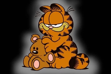 Cartoon Garfield Wallpapers Hd For Mac Cartoons Images