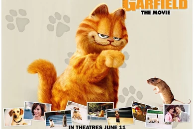 Garfield Wallpapers