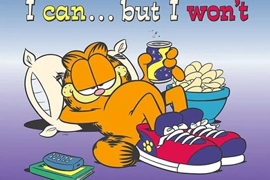I Can But I Won't   Garfield Wallpapers (262532)   Fanpop