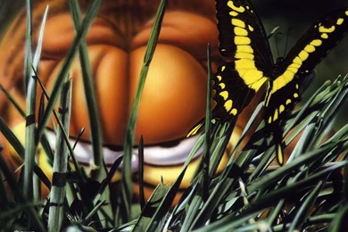 Garfield Cartoon Wallpapers   Page 2   Crazy Frankenstein