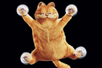 Garfield Computer Wallpapers, Desktop Backgrounds