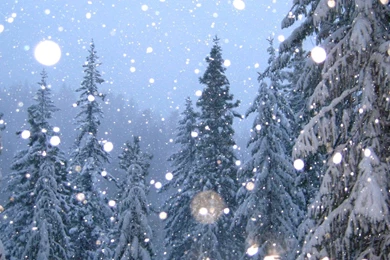 Snow Desktop Wallpapers