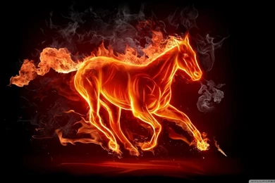 Horse Fire HD Desktop Wallpapers : High Definition : Fullscreen ...