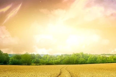 Gold Field Iphone 4 Wallpapers 640x960 Hd Wallpapers Downloads For ...