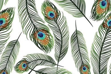 Print A Wall Paper Peacock Feathers PVC Free Wallpapers By Print A ...
