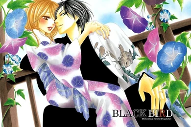 Black Bird (Manga), Wallpapers   Zerochan Anime Image Board