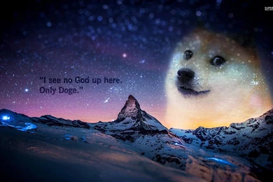 Doge Wallpapers   Meme Wallpapers