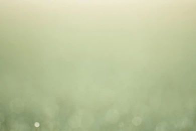 iPhone 5 Wallpapers HD Retina Ready, Stunning Wallpapers