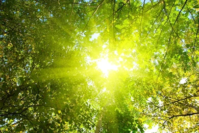 Sunshine Wallpapers 2415   HDWPro