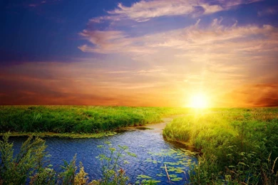 Sunshine Wallpaper Images