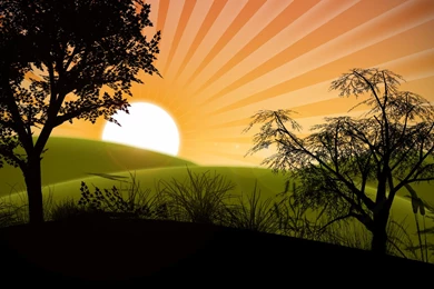 Wallpaper: A Cup Of Sunshine Wallpapers