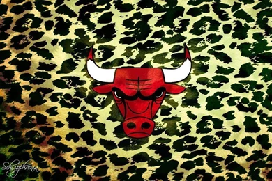Leopard Chicago BULLS By PatroxiSchizophrenia On DeviantArt