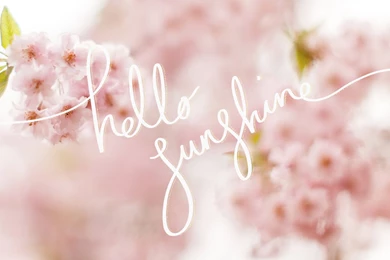 Hello Sunshine! A Free Cherry Blossom Desktop Wallpapers