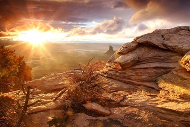 Sunshine Wallpapers HD HD Wallpapers