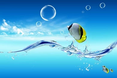 Fish Jumping Out Of The Water HD Desktop Wallpapers : Widescreen ...