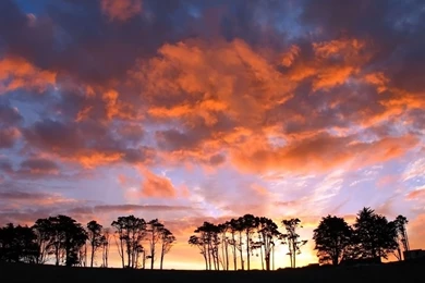 Desktop Backgrounds Wallpapers