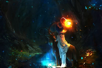 The Wizard S Journey Into The Dark Forest   (