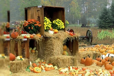 Wallpapers For Computer Free Backgrounds