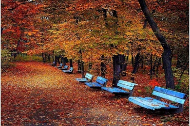 Fall Pictures For Desktop   Printable Invitation Download