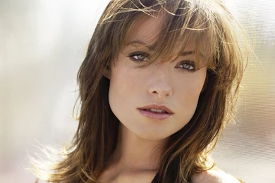 Lady Gaga Wallpapers Hd 43058