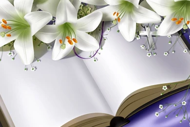 Background_For_Computer_For_Free 3.jpg