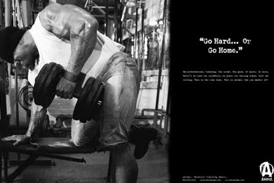 Bodybuilding Wallpapers