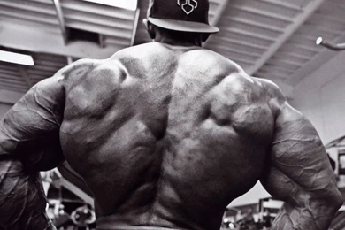 Body building Fitness Muscle Muscles Weight Lifting Bodybuilding ...