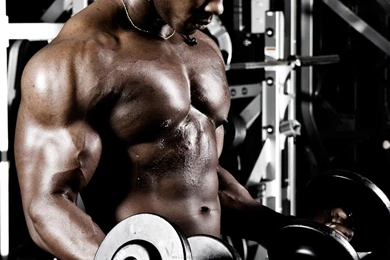 Body building Fitness Muscle Muscles Weight Lifting Bodybuilding ...