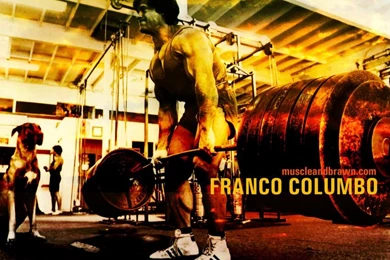 Franco Columbo Weightlifting HD Wallpapers 5mpx   5mxp.com