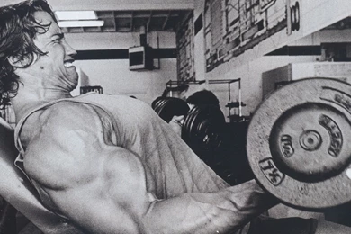 Black And White, Gym, Arnold Schwarzenegger, Muscles, Weight ...