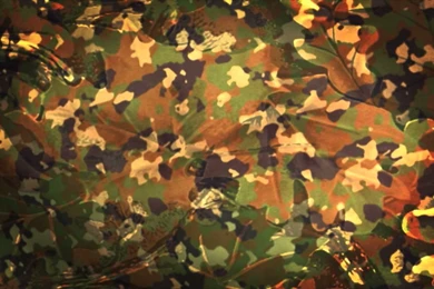 Hunting Camo Light Backgrounds   YouTube