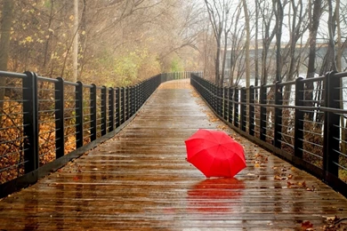 Happy Rainy Day Wallpapers ~ Toptenpack.com