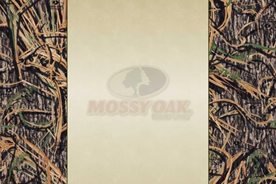 Mossy Oak Pink Camo Background, Deer Hunting For Dummies