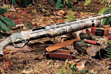 Shotgun For Hunting In Jungle HD Desktop Images
