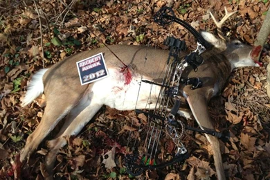 Bow Hunting Deer Hopefully My Mule Deer Hunt In, Bow Hunting Deer ...