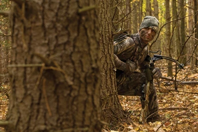 BOW HUNTING Archery Archer Bow Arrow Hunting Weapon Wallpapers ...