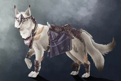 White Wolf Wallpapers