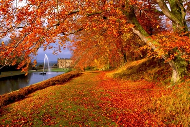 free fall desktop wallpapers