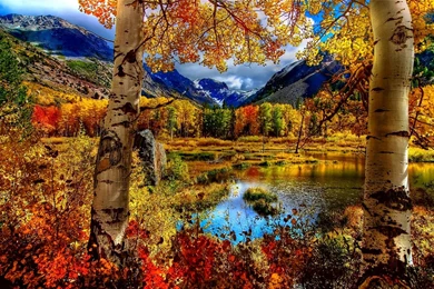 Autumn Scenes Wallpapers   665782