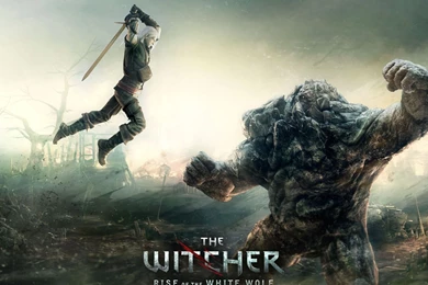 The Witcher Wallpapers   HD Wallpapers