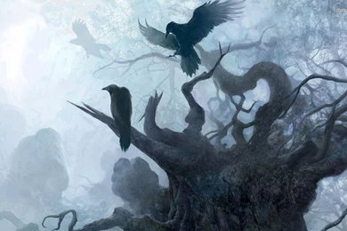 The Witcher Wallpapers   Game Wallpapers